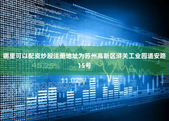 哪里可以配资炒股注册地址为苏州高新区浒关工业园道安路15号