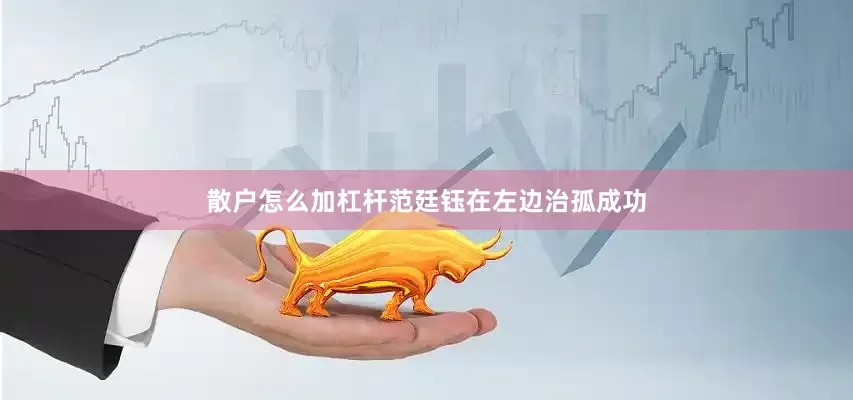 散户怎么加杠杆范廷钰在左边治孤成功