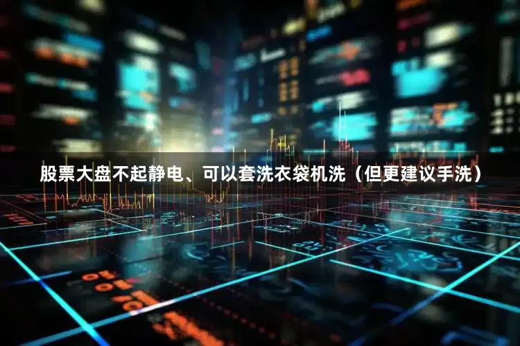 股票大盘不起静电、可以套洗衣袋机洗（但更建议手洗）