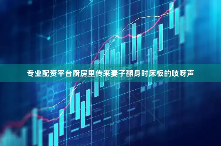 专业配资平台厨房里传来妻子翻身时床板的吱呀声