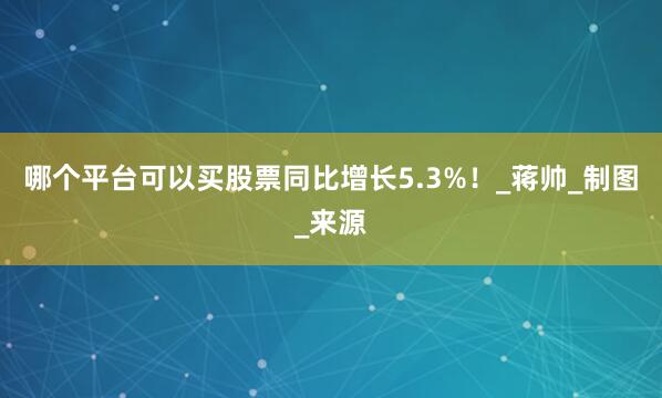 哪个平台可以买股票同比增长5.3%！_蒋帅_制图_来源