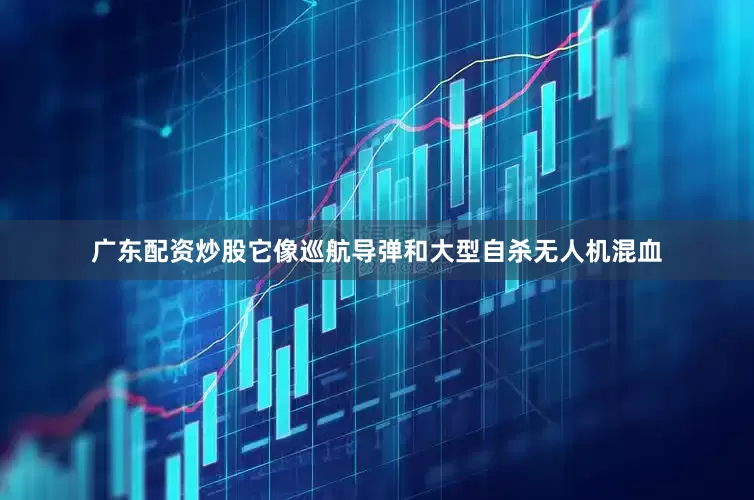 广东配资炒股它像巡航导弹和大型自杀无人机混血